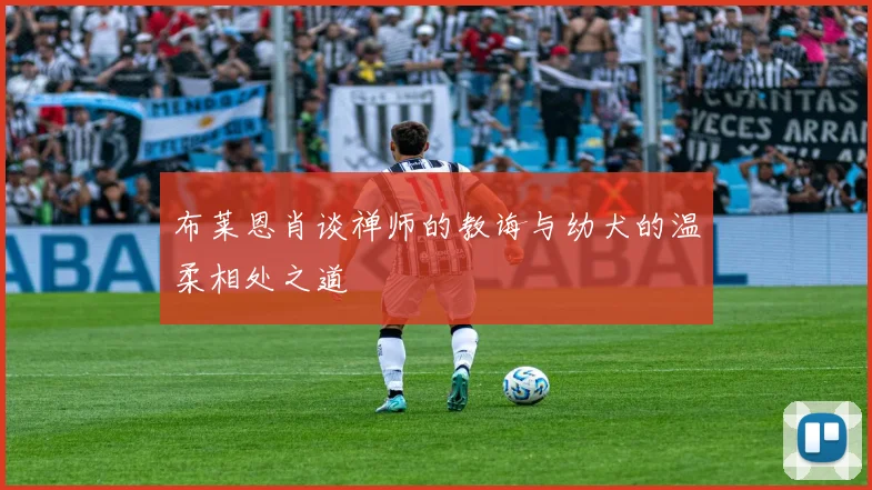 布莱恩肖谈禅师的教诲与幼犬的温柔相处之道